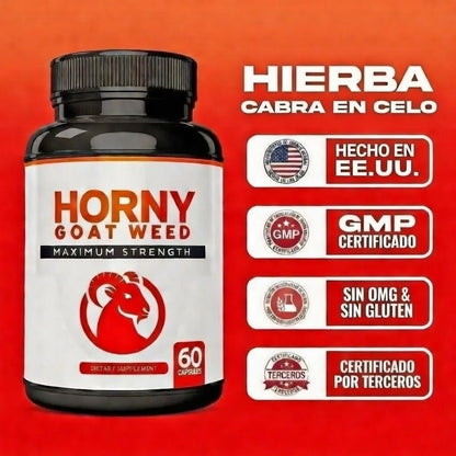 El suplemento natural que le está devolviendo la vitalidad a hombres y mujeres de 40+ en Colombia